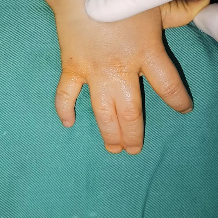 product-750-750 product-750-750